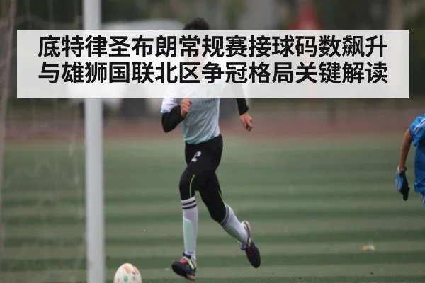 底特律圣布朗常规赛接球码数飙升与雄狮国联北区争冠格局关键解读